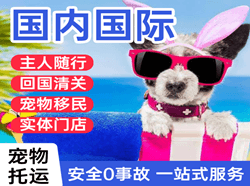 佳木斯东郊国际宠物托运 【国